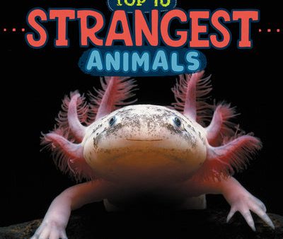 Strangest Animals (Wild World: Top 10) Cheap