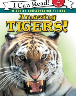 Amazing Tigers! Hot on Sale