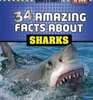 34 Amazing Facts about Sharks Supply