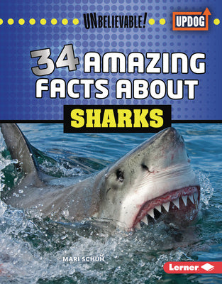 34 Amazing Facts about Sharks Supply