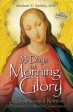 33 Days to Morning Glory: A Do-It- Yourself Retreat in Preparation for Marian Consecration Online Hot Sale