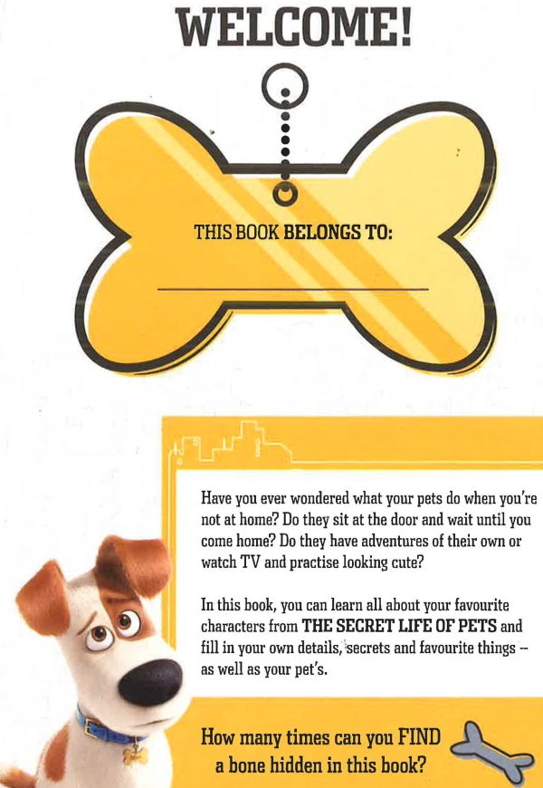 The Secret Life Of Pets: Fun Book! Online Sale